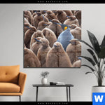 Acrylglasbild Koenigspinguine Quadrat Produktvorschau mit dem Bild Königspinguine im Format Quadrat.