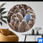 Acrylglasbild Koenigspinguine Rund Produktvorschau mit dem Bild Königspinguine im Format Rund.