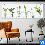 Acrylglasbild Kraeuter In Flaschen Panorama Produktvorschau mit dem Bild Kräuter in Flaschen im Format Panorama.