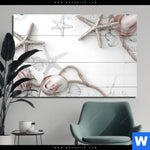 Acrylglasbild Kuestenfeeling Muschel Querformat Produktvorschau mit dem Bild Küstenfeeling - Muschel im Format Querformat.