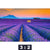 Acrylglasbild Lavendel Blumen Feld Querformat Motivorschau Seitenverhaeltnis 3 2