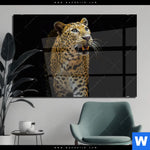 Acrylglasbild Leopard In Der Dunkelheit Querformat Produktvorschau mit dem Bild Leopard in der Dunkelheit im Format Querformat.