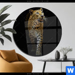 Acrylglasbild Leopard In Der Dunkelheit Rund Produktvorschau mit dem Bild Leopard in der Dunkelheit im Format Rund.