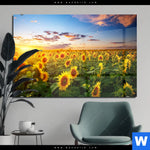 Acrylglasbild Leuchtend Gelbe Sonnenblumen Am Abend Querformat Produktvorschau mit dem Bild Leuchtend gelbe Sonnenblumen am Abend im Format Querformat.