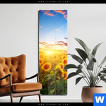 Acrylglasbild Leuchtend Gelbe Sonnenblumen Am Abend Schmal Produktvorschau mit dem Bild Leuchtend gelbe Sonnenblumen am Abend im Format Schmal.