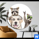 Acrylglasbild Lustige Waschbaeren Mit Hund Rund Produktvorschau mit dem Bild Lustige Waschbären mit Hund im Format Rund.