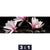 Acrylglasbild Magnolien Zen Steine Panorama Motivorschau Seitenverhaeltnis 3 1