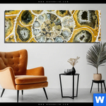 Acrylglasbild Muschel Fossil No 1 Panorama Produktvorschau mit dem Bild Muschel Fossil No. 1 im Format Panorama.