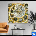 Acrylglasbild Muschel Fossil No 1 Quadrat Produktvorschau mit dem Bild Muschel Fossil No. 1 im Format Quadrat.