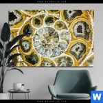 Acrylglasbild Muschel Fossil No 1 Querformat Produktvorschau mit dem Bild Muschel Fossil No. 1 im Format Querformat.