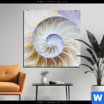 Acrylglasbild Muschel Fossil No 2 Quadrat Produktvorschau mit dem Bild Muschel Fossil No. 2 im Format Quadrat.