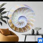 Acrylglasbild Muschel Fossil No 2 Rund Produktvorschau mit dem Bild Muschel Fossil No. 2 im Format Rund.