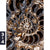 Acrylglasbild Muschel Fossil No 3 Hochformat Motivorschau Seitenverhaeltnis 3 4
