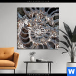 Acrylglasbild Muschel Fossil No 3 Quadrat Produktvorschau mit dem Bild Muschel Fossil No. 3 im Format Quadrat.