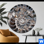 Acrylglasbild Muschel Fossil No 3 Rund Produktvorschau mit dem Bild Muschel Fossil No. 3 im Format Rund.