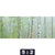 Acrylglasbild Nebliger Birkenwald Panorama Motivorschau Seitenverhaeltnis 5 2