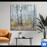 Acrylglasbild Nebliger Morgen Im Birkenwald Quadrat Produktvorschau mit dem Bild Nebliger Morgen im Birkenwald im Format Quadrat.