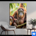 Acrylglasbild Orang Utan Familie Im Regenwald Hochformat Produktvorschau mit dem Bild Orang Utan Familie im Regenwald im Format Hochformat.
