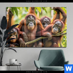 Acrylglasbild Orang Utan Familie Im Regenwald Querformat Produktvorschau mit dem Bild Orang Utan Familie im Regenwald im Format Querformat.
