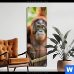Acrylglasbild Orang Utan Familie Im Regenwald Schmal Produktvorschau mit dem Bild Orang Utan Familie im Regenwald im Format Schmal.