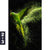 Acrylglasbild Papagei Gruene Farbexplosion Hochformat Motivorschau Seitenverhaeltnis 2 3