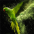Acrylglasbild Papagei Gruene Farbexplosion Querformat