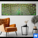 Acrylglasbild Pfauenschwanz Panorama Produktvorschau mit dem Bild Pfauenschwanz im Format Panorama.