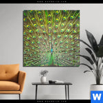 Acrylglasbild Pfauenschwanz Quadrat Produktvorschau mit dem Bild Pfauenschwanz im Format Quadrat.
