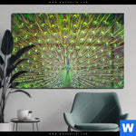 Acrylglasbild Pfauenschwanz Querformat Produktvorschau mit dem Bild Pfauenschwanz im Format Querformat.