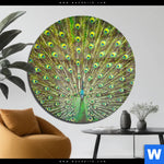 Acrylglasbild Pfauenschwanz Rund Produktvorschau mit dem Bild Pfauenschwanz im Format Rund.