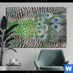 Acrylglasbild Pfaufedern Querformat Produktvorschau mit dem Bild Pfaufedern im Format Querformat.