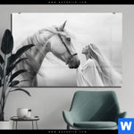 Acrylglasbild Pferd Wildnis Liebe Querformat Produktvorschau mit dem Bild Pferd - Wildnis Liebe im Format Querformat.