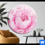 Acrylglasbild Pfingstrose Rund Produktvorschau mit dem Bild Pfingstrose im Format Rund.