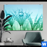 Acrylglasbild Pusteblume Mit Tautropfen Querformat Produktvorschau mit dem Bild Pusteblume mit Tautropfen im Format Querformat.