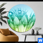 Acrylglasbild Pusteblume Mit Tautropfen Rund Produktvorschau mit dem Bild Pusteblume mit Tautropfen im Format Rund.