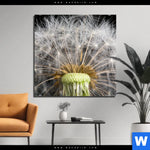 Acrylglasbild Pusteblume No 10 Quadrat Produktvorschau mit dem Bild Pusteblume No. 10 im Format Quadrat.