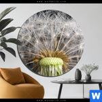 Acrylglasbild Pusteblume No 10 Rund Produktvorschau mit dem Bild Pusteblume No. 10 im Format Rund.