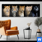 Acrylglasbild Raubkatzen Panorama Produktvorschau mit dem Bild Raubkatzen im Format Panorama.