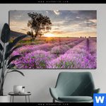 Acrylglasbild Sonnenaufgang Im Lavendelfeld Querformat Produktvorschau mit dem Bild Sonnenaufgang im Lavendelfeld im Format Querformat.