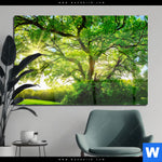 Acrylglasbild Sonnendurchfluteter Baum Querformat Produktvorschau mit dem Bild Sonnendurchfluteter Baum im Format Querformat.