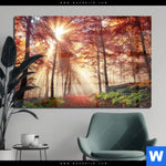 Acrylglasbild Sonnenlicht Im Nebligen Wald Querformat Produktvorschau mit dem Bild Sonnenlicht im nebligen Wald im Format Querformat.