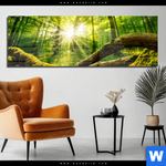 Acrylglasbild Sonnenstrahlen Im Dichten Wald Panorama Produktvorschau mit dem Bild Sonnenstrahlen im dichten Wald im Format Panorama.