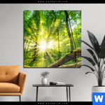Acrylglasbild Sonnenstrahlen Im Dichten Wald Quadrat Produktvorschau mit dem Bild Sonnenstrahlen im dichten Wald im Format Quadrat.