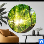 Acrylglasbild Sonnenstrahlen Im Dichten Wald Rund Produktvorschau mit dem Bild Sonnenstrahlen im dichten Wald im Format Rund.