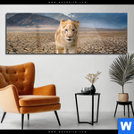 Acrylglasbild Spiegelbild Loewe Loewenjunges Panorama Produktvorschau mit dem Bild Spiegelbild Löwe & Löwenjunges im Format Panorama.