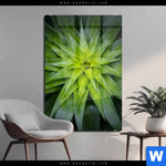 Acrylglasbild Spitze Agavenblaetter Hochformat Produktvorschau mit dem Bild Spitze Agavenblätter im Format Hochformat.