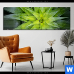 Acrylglasbild Spitze Agavenblaetter Panorama Produktvorschau mit dem Bild Spitze Agavenblätter im Format Panorama.