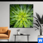 Acrylglasbild Spitze Agavenblaetter Quadrat Produktvorschau mit dem Bild Spitze Agavenblätter im Format Quadrat.
