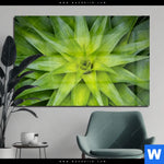 Acrylglasbild Spitze Agavenblaetter Querformat Produktvorschau mit dem Bild Spitze Agavenblätter im Format Querformat.