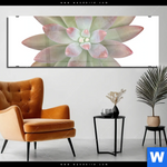 Acrylglasbild Sukkulente No 1 Panorama Produktvorschau mit dem Bild Sukkulente No.1 im Format Panorama.